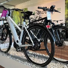 Bild von e-motion e-Bike Welt, Dreirad- & Lastenfahrrad-Zentrum Hamm