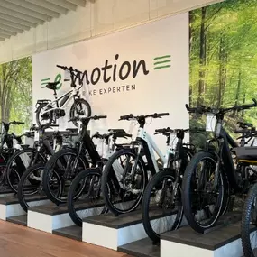 Bild von e-motion e-Bike Welt, Dreirad- & Lastenfahrrad-Zentrum Hamm