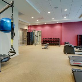 Health club  fitness center  gym