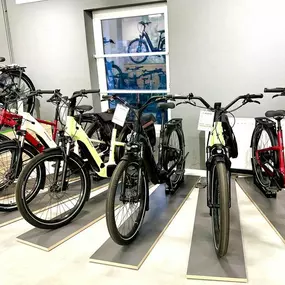 Bild von e-motion e-Bike Welt, Dreirad- & Lastenfahrrad-Zentrum Berlin-Adlershof