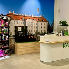 Bild von E-Bike Profi e-motion e-Bike Welt, Dreirad- & Lastenfahrrad-Zentrum Berlin-Adlershof