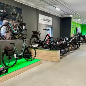 Bild von E-Bike Profi e-motion e-Bike Welt, Dreirad- & Lastenfahrrad-Zentrum Berlin-Adlershof