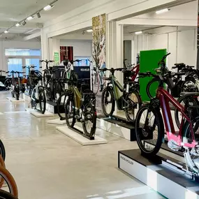 Bild von E-Bike Profi e-motion e-Bike Welt, Dreirad- & Lastenfahrrad-Zentrum Berlin-Adlershof
