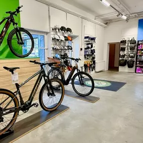 Bild von E-Bike Profi e-motion e-Bike Welt, Dreirad- & Lastenfahrrad-Zentrum Berlin-Adlershof