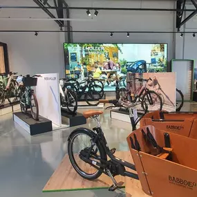 Bild von e-motion e-Bike Welt, Dreirad- & Lastenfahrrad-Zentrum Ludwigsfelde