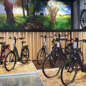 Bild von e-motion e-Bike Welt, Dreirad- & Lastenfahrrad-Zentrum Ludwigsfelde