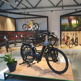 Bild von e-motion e-Bike Welt, Dreirad- & Lastenfahrrad-Zentrum Ludwigsfelde