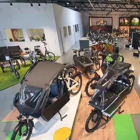 Bild von e-motion e-Bike Welt, Dreirad- & Lastenfahrrad-Zentrum Ludwigsfelde