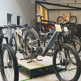 Bild von e-motion e-Bike Welt, Dreirad- & Lastenfahrrad-Zentrum Ludwigsfelde