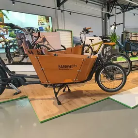 Bild von e-motion e-Bike Welt, Dreirad- & Lastenfahrrad-Zentrum Ludwigsfelde