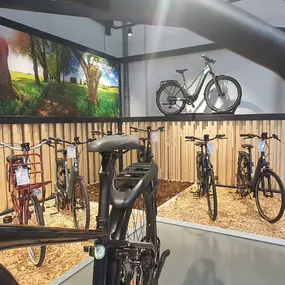 Bild von e-motion e-Bike Welt, Dreirad- & Lastenfahrrad-Zentrum Ludwigsfelde