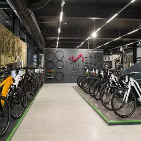 Bild von e-motion e-Bike Welt & Lastenfahrrad-Zentrum Gärtringen