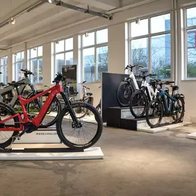 Bild von e-motion e-Bike Welt, Dreirad- & Lastenfahrrad-Zentrum Fulda