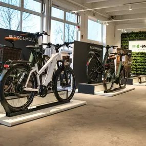 Bild von e-motion e-Bike Welt, Dreirad- & Lastenfahrrad-Zentrum Fulda