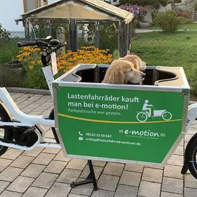 Bild von e-motion e-Bike Welt, Dreirad- & Lastenfahrrad-Zentrum Erding