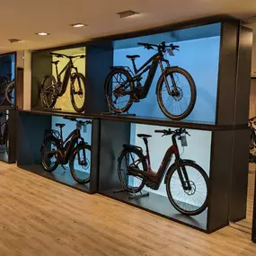 Bild von e-motion e-Bike Premium-Shop & Lastenfahrrad-Zentrum Blankenese