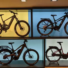 Bild von e-motion e-Bike Premium-Shop & Lastenfahrrad-Zentrum Blankenese