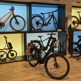 Bild von e-motion e-Bike Premium-Shop & Lastenfahrrad-Zentrum Blankenese