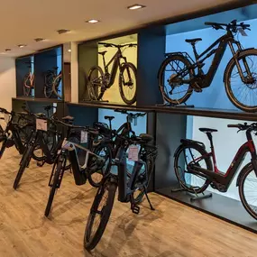 Bild von e-motion e-Bike Premium-Shop & Lastenfahrrad-Zentrum Blankenese