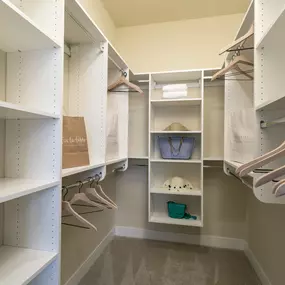 Walk-in Closet