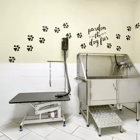 Pet Wash Station