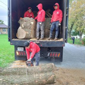 Anytown Tree Service Inc.- Tree service crew