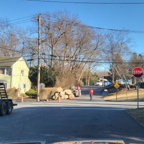 Anytown Tree Service Inc. - Stump grinding