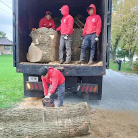 Anytown Tree Service Inc.- Tree service crew