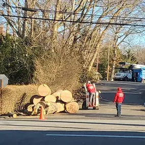 Anytown Tree Service Inc.-  Stump damage