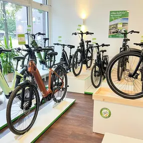 Bild von e-motion e-Bike Welt Berlin-Mitte