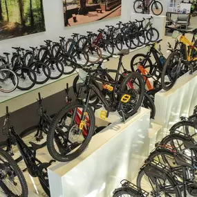 Bild von e-motion e-Bike Welt, Dreirad- & Lastenfahrrad-Zentrum Kaiserslautern