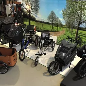 Bild von e-motion e-Bike Welt, Dreirad- & Lastenfahrrad-Zentrum Kaiserslautern