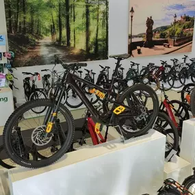 Bild von e-motion e-Bike Welt, Dreirad- & Lastenfahrrad-Zentrum Kaiserslautern