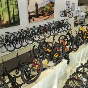 Bild von e-motion e-Bike Welt, Dreirad- & Lastenfahrrad-Zentrum Kaiserslautern