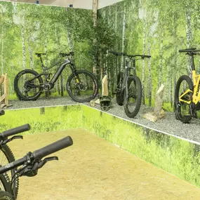 Bild von e-motion e-Bike Welt & Service Werkstatt Nürnberg