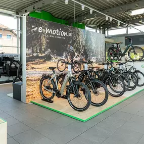 Bild von e-motion e-Bike Welt, Dreirad- & Lastenfahrrad-Zentrum Lüdinghausen