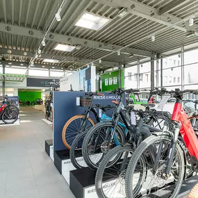 Bild von e-motion e-Bike Welt, Dreirad- & Lastenfahrrad-Zentrum Lüdinghausen