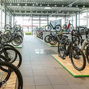 Bild von e-motion e-Bike Welt, Dreirad- & Lastenfahrrad-Zentrum Lüdinghausen