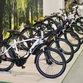 Bild von e-motion e-Bike Welt, Dreirad- & Lastenfahrrad-Zentrum Offenburg