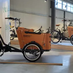 Bild von e-motion e-Bike Welt, Dreirad- & Lastenfahrrad-Zentrum Landau