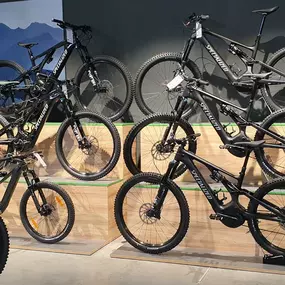 Bild von e-motion e-Bike Welt, Dreirad- & Lastenfahrrad-Zentrum Landau