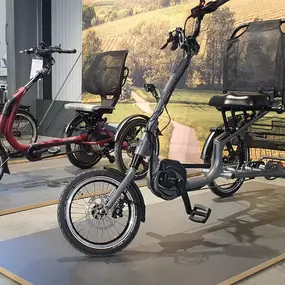 Bild von e-motion e-Bike Welt, Dreirad- & Lastenfahrrad-Zentrum Landau