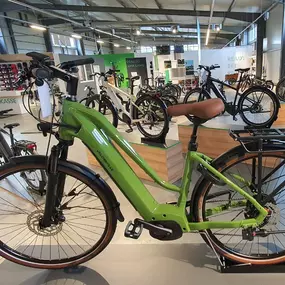 Bild von e-motion e-Bike Welt, Dreirad- & Lastenfahrrad-Zentrum Landau