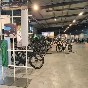 Bild von e-motion e-Bike Welt, Dreirad- & Lastenfahrrad-Zentrum Landau