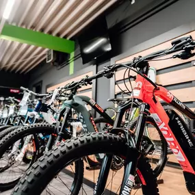 Bild von e-motion e-Bike Welt Osterode am Harz