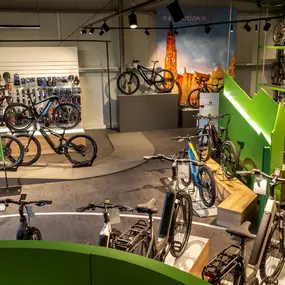 Bild von e-motion e-Bike Welt, Dreirad- & Lastenfahrrad-Zentrum Landshut