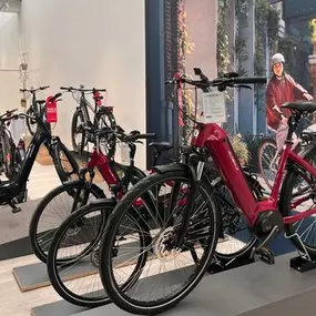 Bild von e-motion e-Bike Welt, Dreirad- & Lastenfahrrad-Zentrum Pulheim