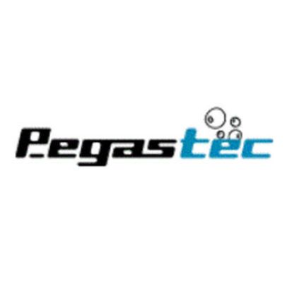 Logo da Pegastec