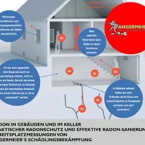 Bild von Angermeier's Schädlingsbekämpfung GmbH