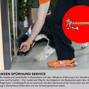 Bild von Angermeier's Schädlingsbekämpfung GmbH